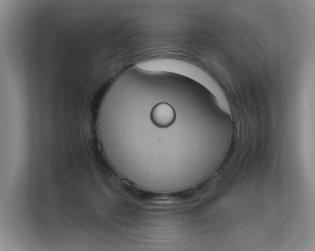 X0000112950316200909141413