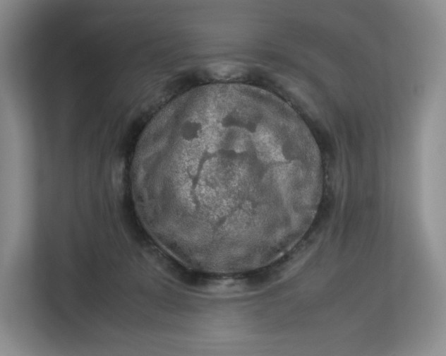 X0000112950319200909141413