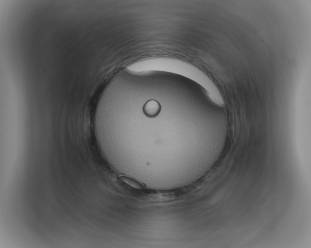 X0000112950320200909141413