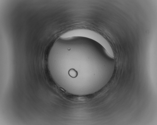 X0000112950324200909141413