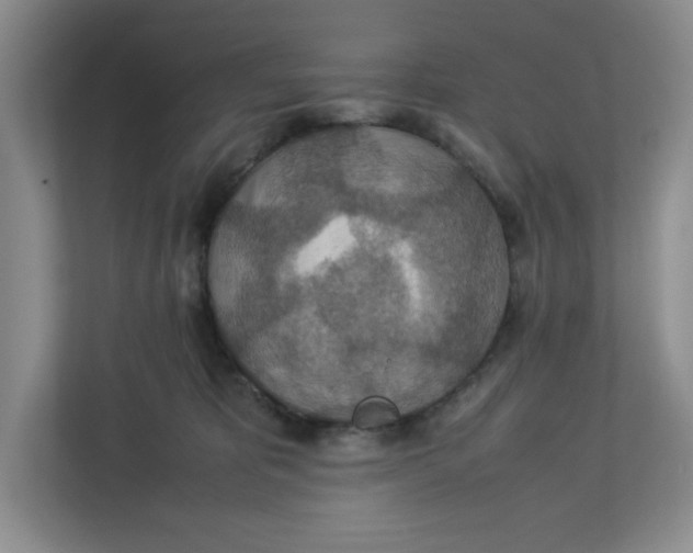 X0000112950325200909141413