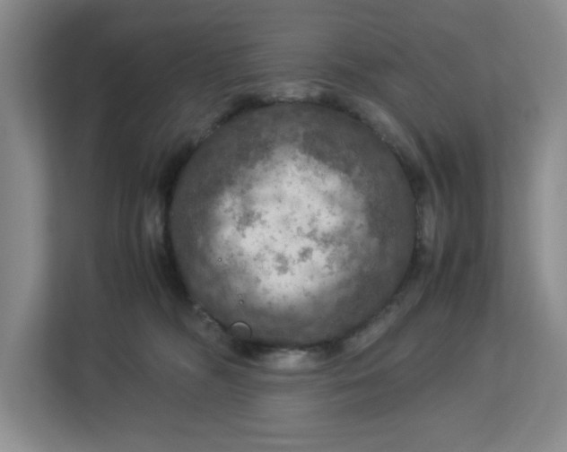 X0000112950326200909141413