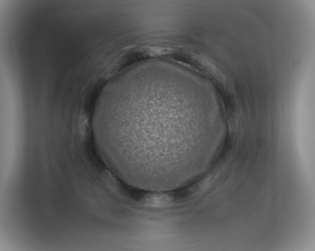 X0000112950327200909141413