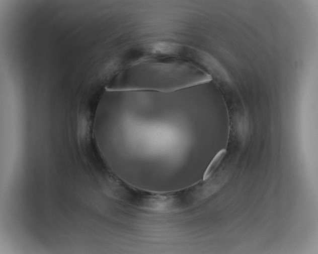 X0000112950328200909141413