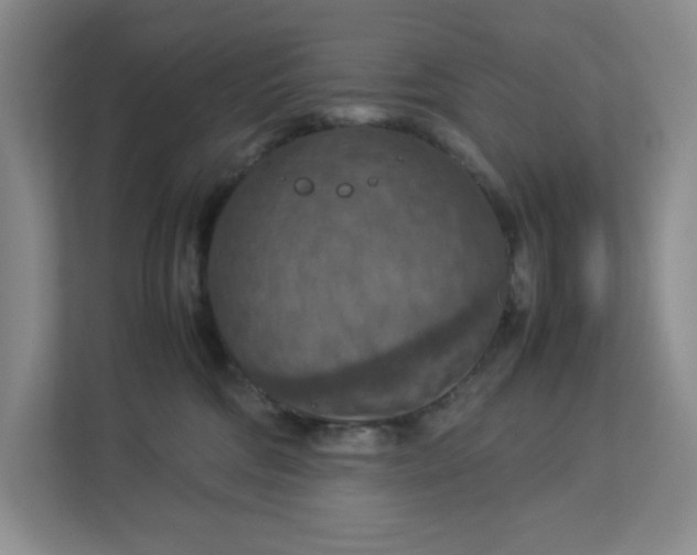 X0000112950330200909141413