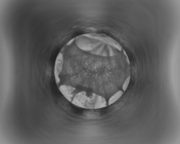 X0000112950331200909141413