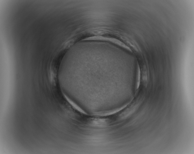 X0000112950332200909141413