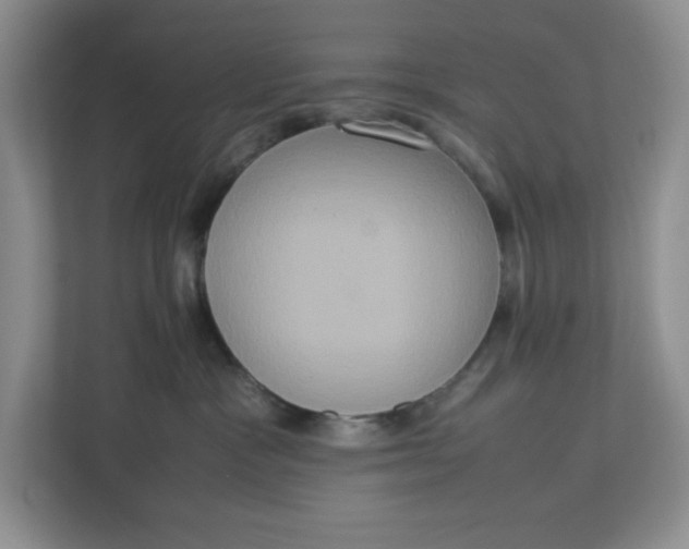 X0000112950333200909141413