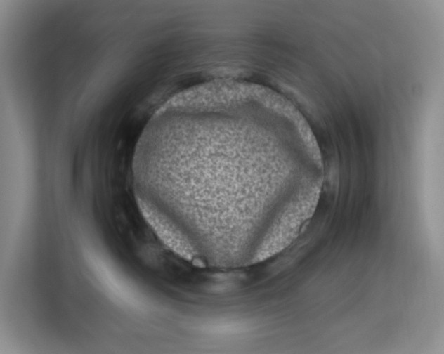 X0000112950334200909141413