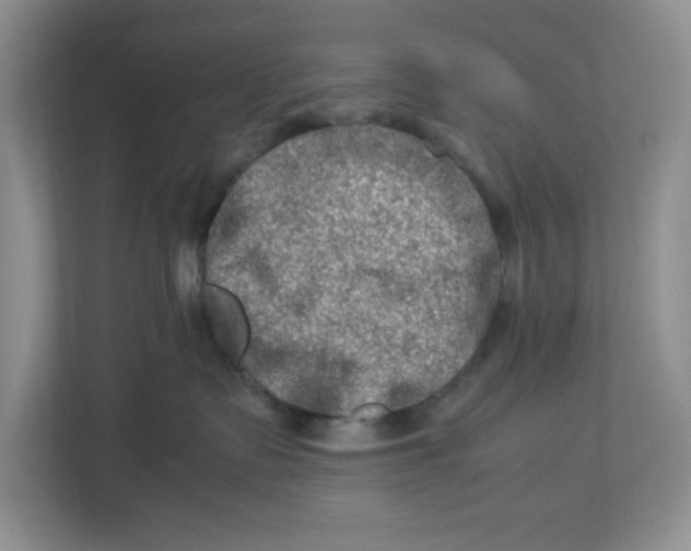 X0000112950335200909141413