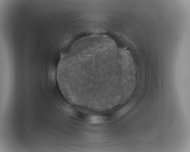 X0000112950336200909141413