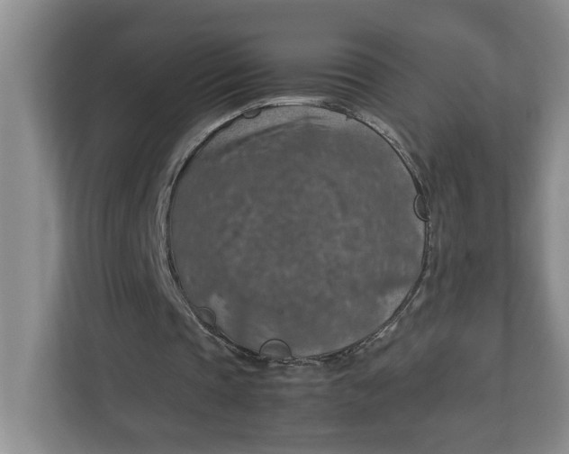 X0000112950337200909141412