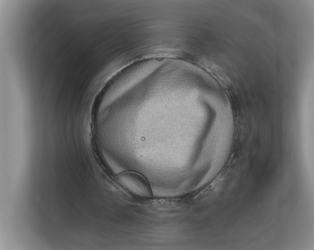 X0000112950338200909141412