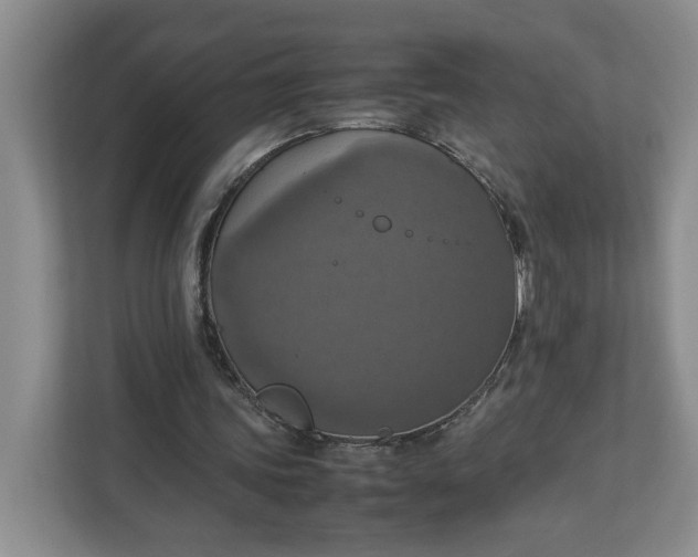 X0000112950339200909141412