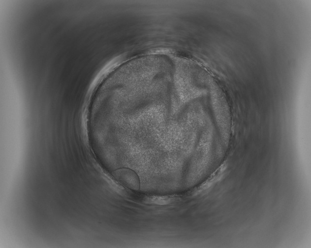 X0000112950341200909141412