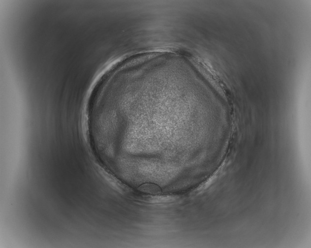 X0000112950342200909141412