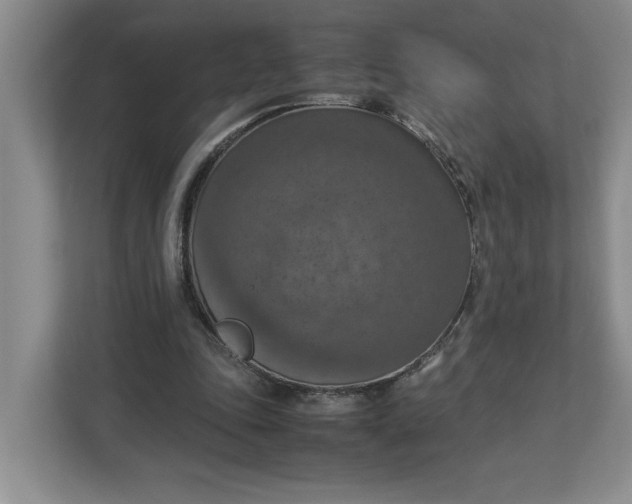 X0000112950343200909141412