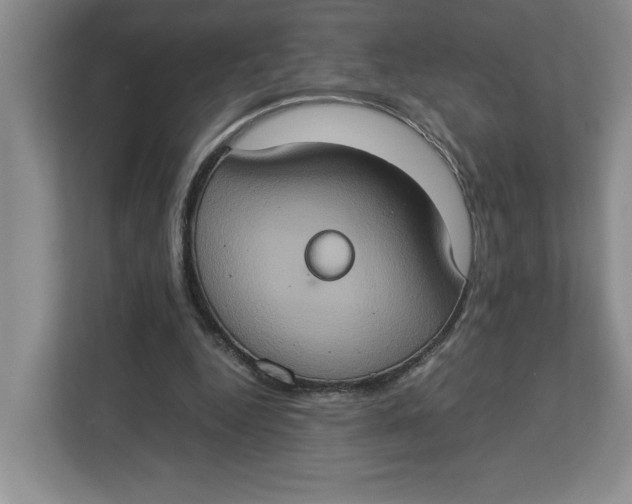 X0000112950344200909141412