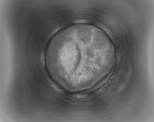 X0000112950345200909141412