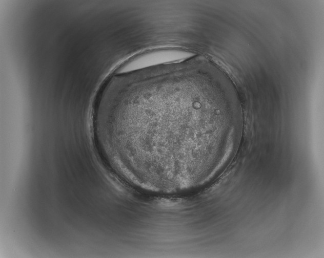 X0000112950346200909141412