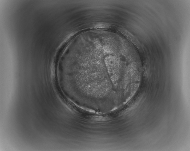 X0000112950347200909141412