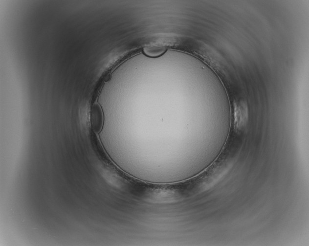 X0000112950348200909141412