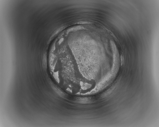 X0000112950349200909141412