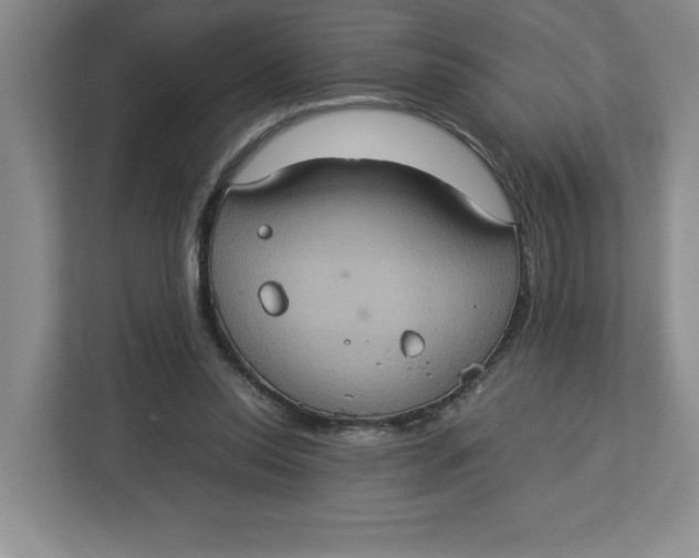 X0000112950350200909141412