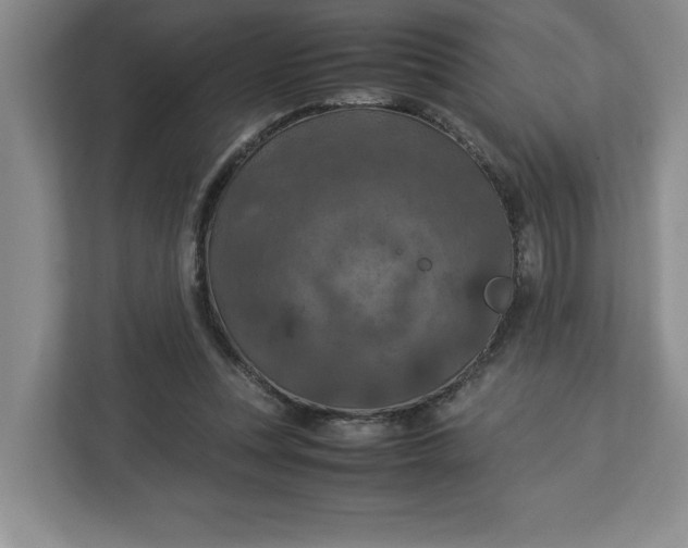 X0000112950351200909141412