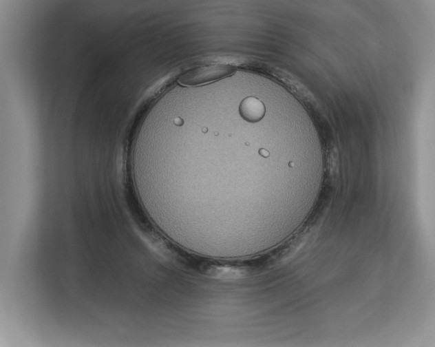 X0000112950352200909141412