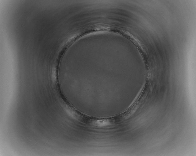 X0000112950353200909141412