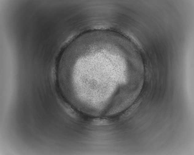 X0000112950354200909141412