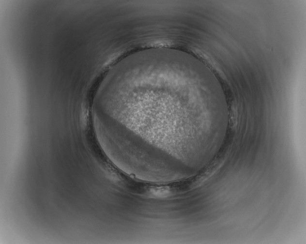 X0000112950355200909141412