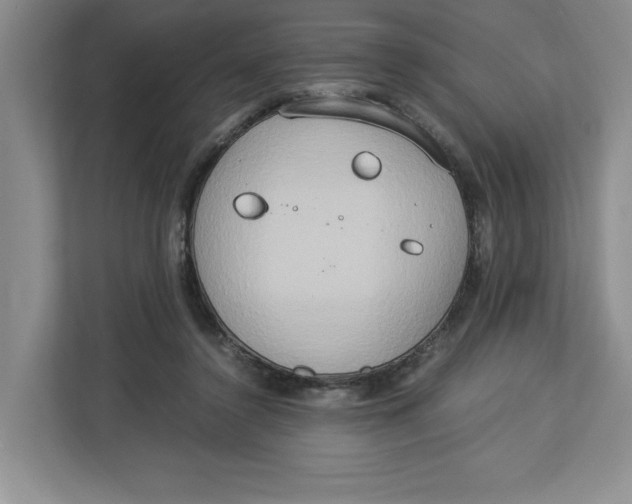 X0000112950356200909141412