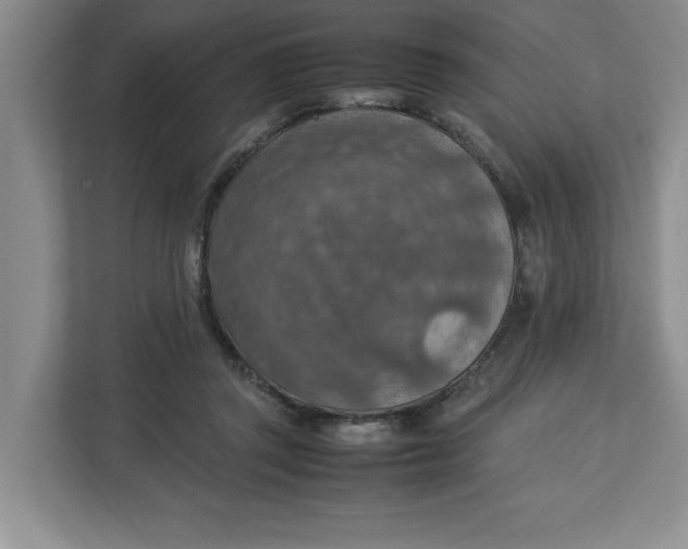 X0000112950357200909141412