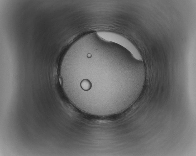 X0000112950360200909141412