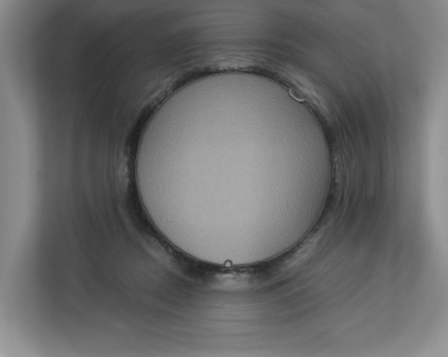 X0000112950362200909141412