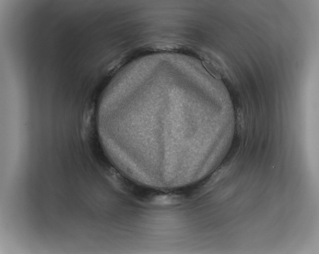 X0000112950364200909141412