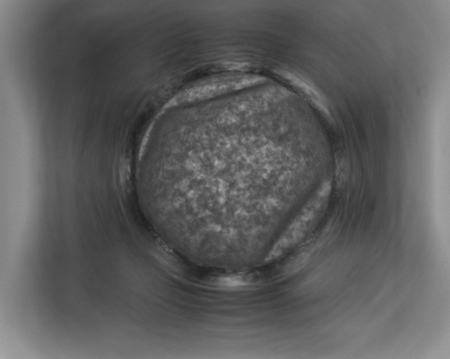 X0000112950365200909141412