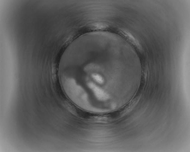 X0000112950366200909141412