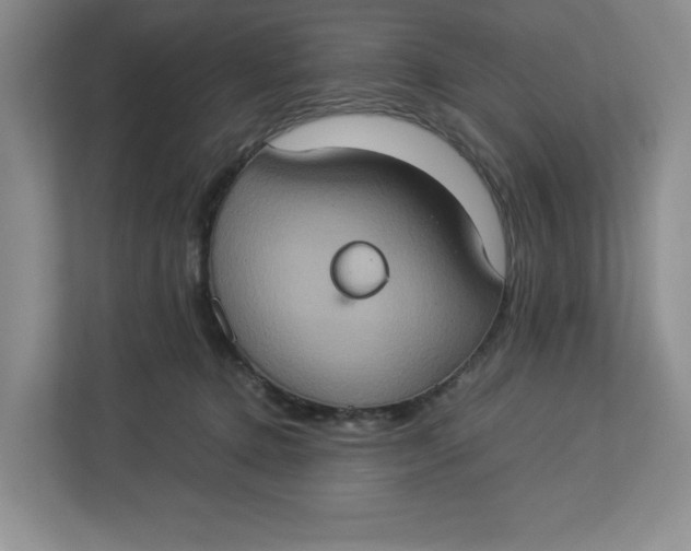 X0000112950368200909141412