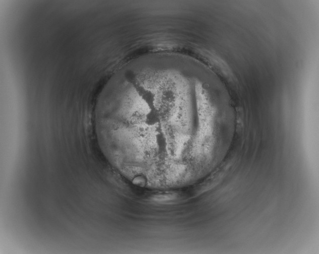 X0000112950369200909141412