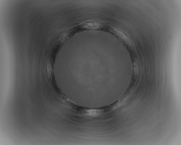 X0000112950371200909141412