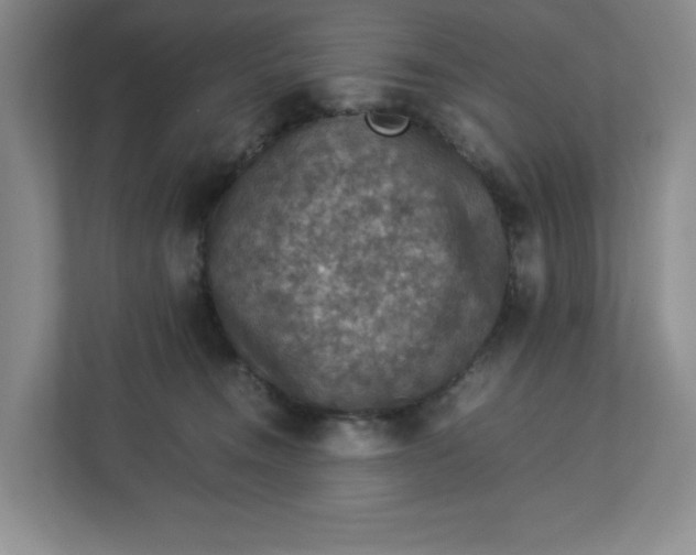 X0000112950372200909141412