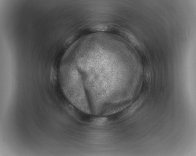 X0000112950374200909141412