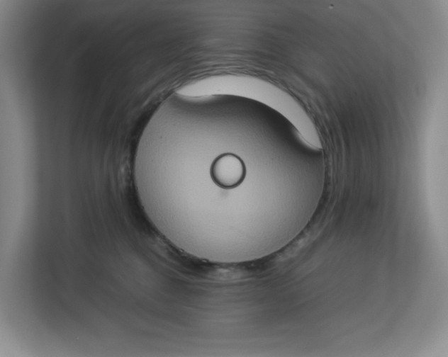 X0000112950376200909141412