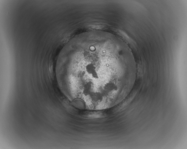 X0000112950377200909141413