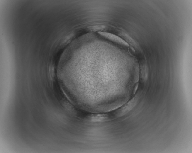 X0000112950378200909141413