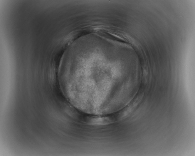 X0000112950379200909141413