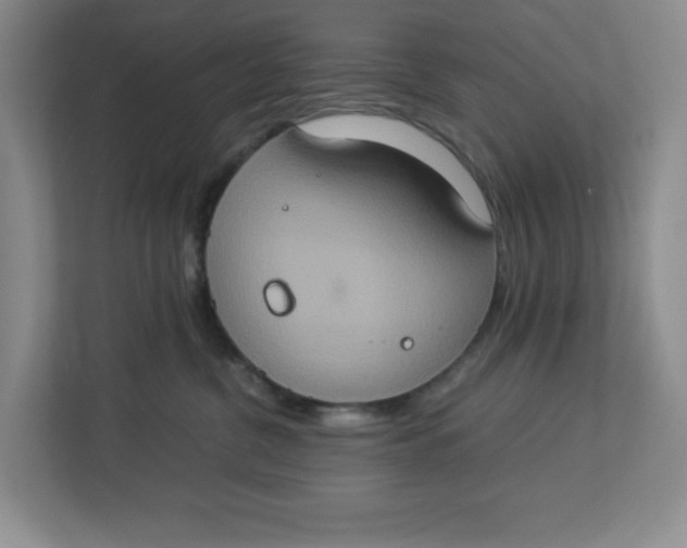 X0000112950380200909141413